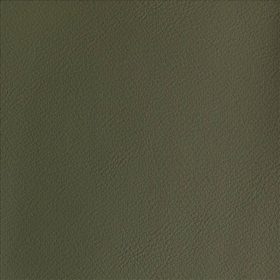 Kasmir BY DESIGN        ALOE            